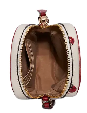 Coach North South Zip Phone Crossbody With Ladybug Floral Print