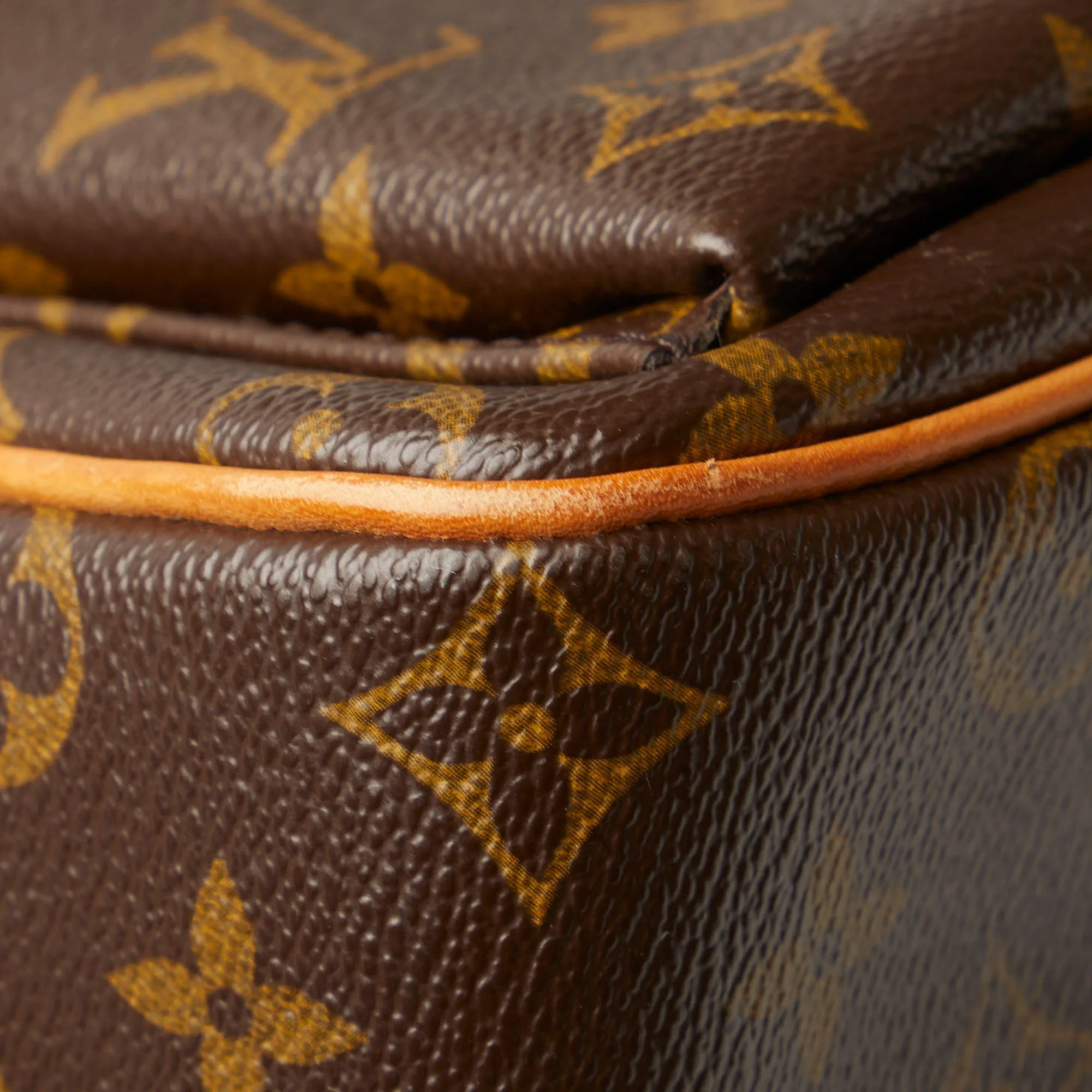 LOUIS VUITTON Monogram Viva Cite GM Shoulder Bag